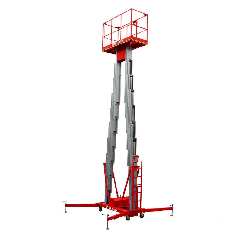 Двухмачтовый подъемник SKYER GTWY8-200 DC